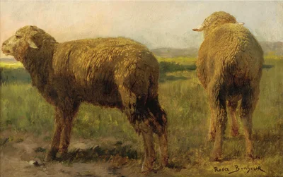 Sheep in a meadow