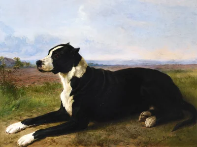 Portrait d'un croisé mâtin-labrador dans un paysage