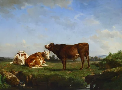 Trois vaches au paturage