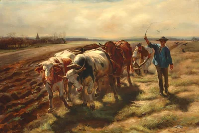 Oxen plowing