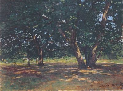 Fontainebleau Forest