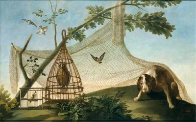 Hunting with a decoy