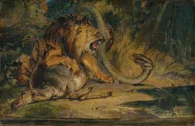 Lion Defending its Prey