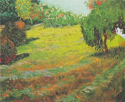 Sunny Lawn in a Public Park