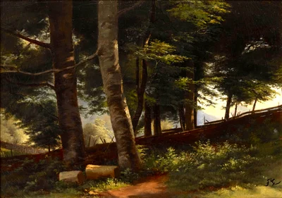Inside the Forest