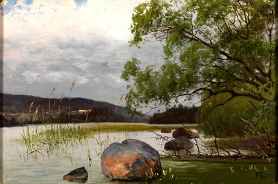 Shore Landscape