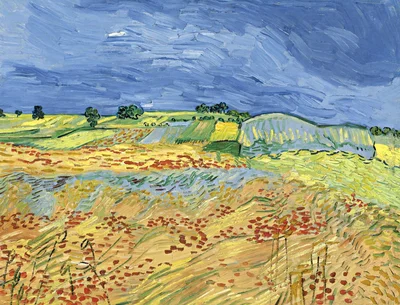 The Fields