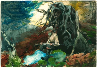 Campfire, Adirondacks