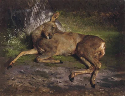 A roe deer in the forest
