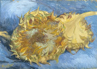 Girasoles