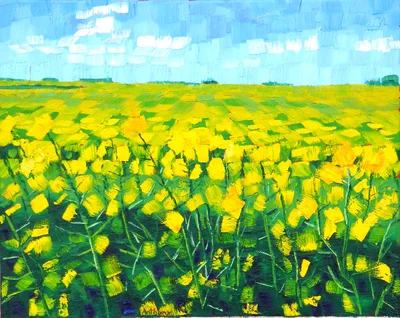 Rapeseed After Wheatfield