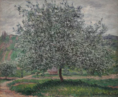 Le pommier