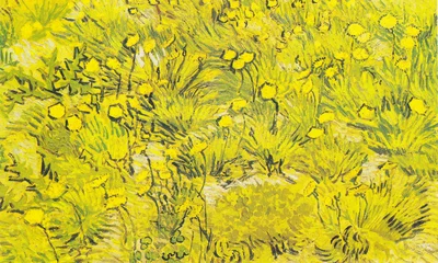 Meadow with yellow flowers
