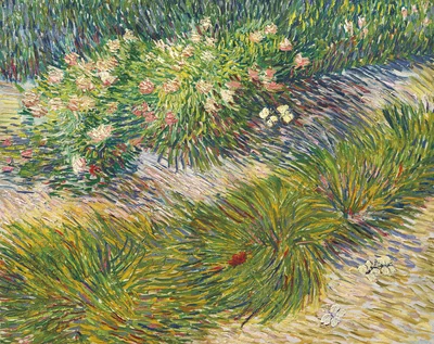 Grass and Butterflies