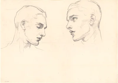 Studies of a Man's Head