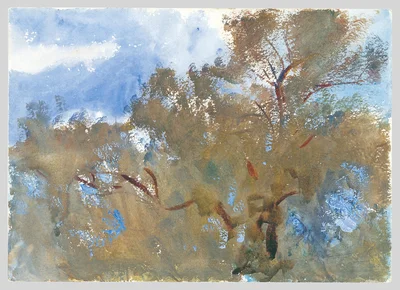 Treetops against Sky