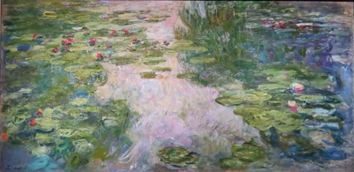 Waterlilies