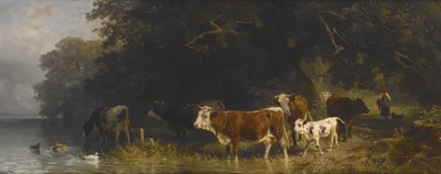 Cows at the Watering Place