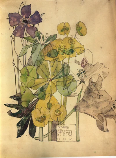 Spurge, Withyham