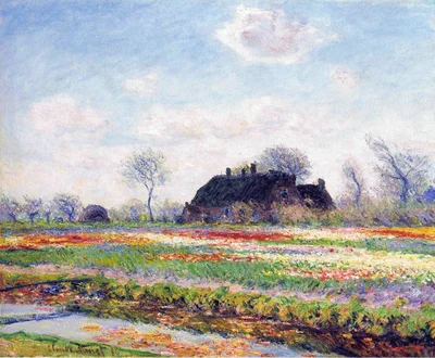 Tulip Fields at Sassenheim