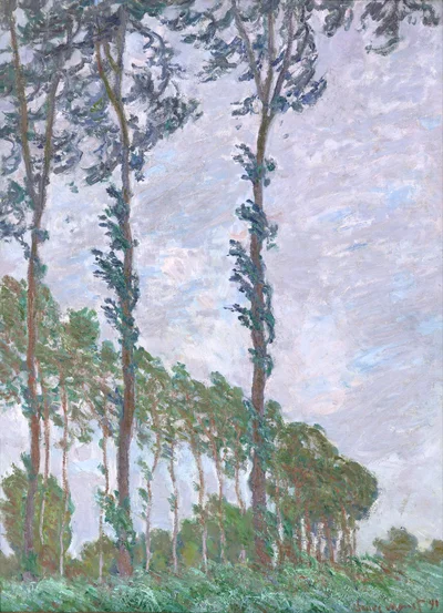 Wind Effect, Row of Poplars