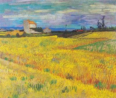Wheat Field