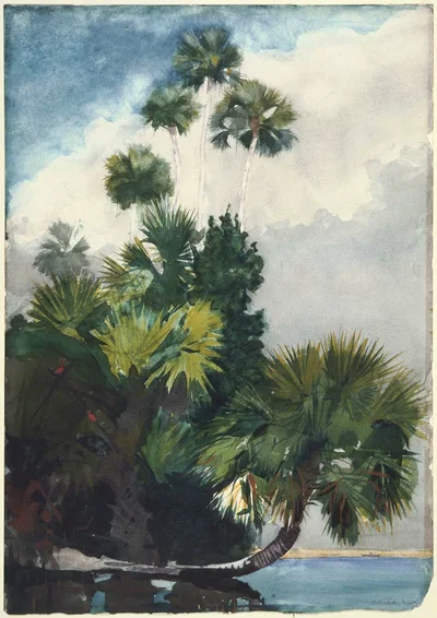 Palm Trees, Florida