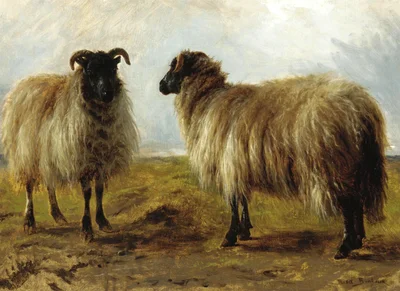 Two Rams in a Landscape