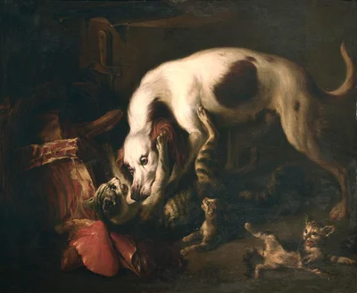 Dog and Cats