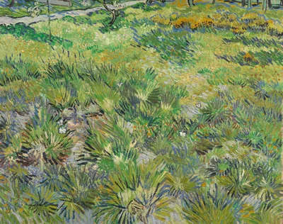 Long Grass with Butterflies