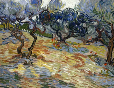Olive trees