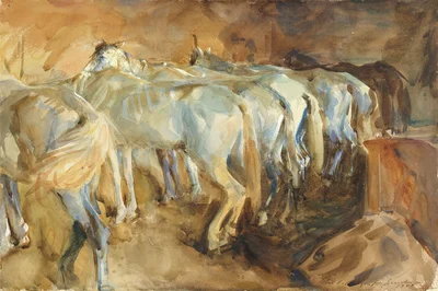 Bus Horses in Jerusalem