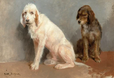 Study of two dogs