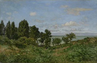Coastal landscape