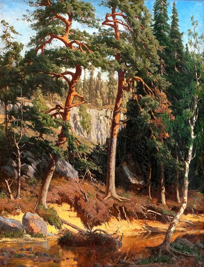In the Forest