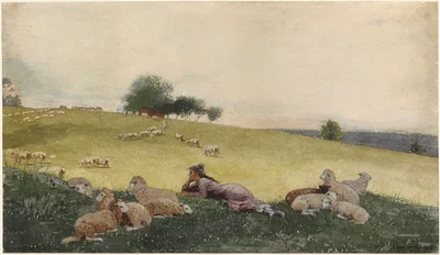 Bergère de Houghton Farm