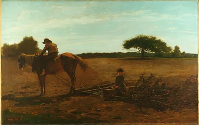 La herse à brosses