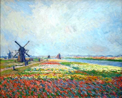 Tulip Fields near The Hague