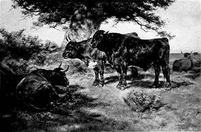 Woman in Art - The Steers