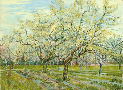 The white orchard
