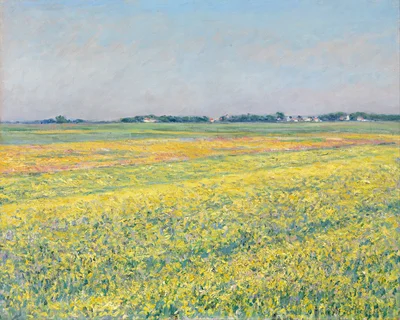 Die Ebene von Gennevilliers, gelbe Felder