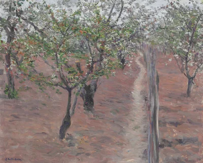Obstgarten, blühende Bäume, Petit Gennevilliers