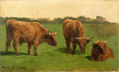 Trois bœufs roux au pâturage