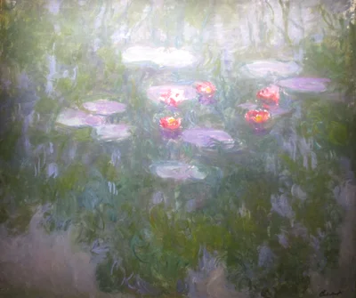 Nymphéas