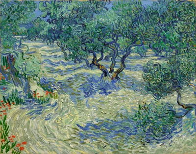 Olivar
