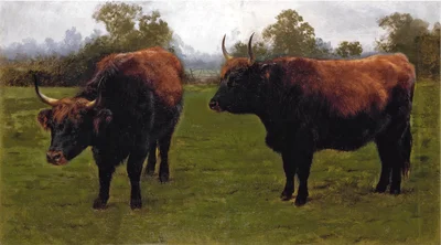 Two Bulls Grazing