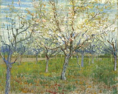 The pink orchard