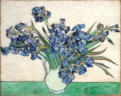 Irises