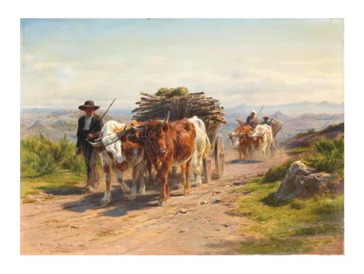 Charrette attelée de vaches et bouvier en Auvergne