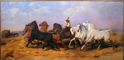 La Foulaison du blé en Camargue